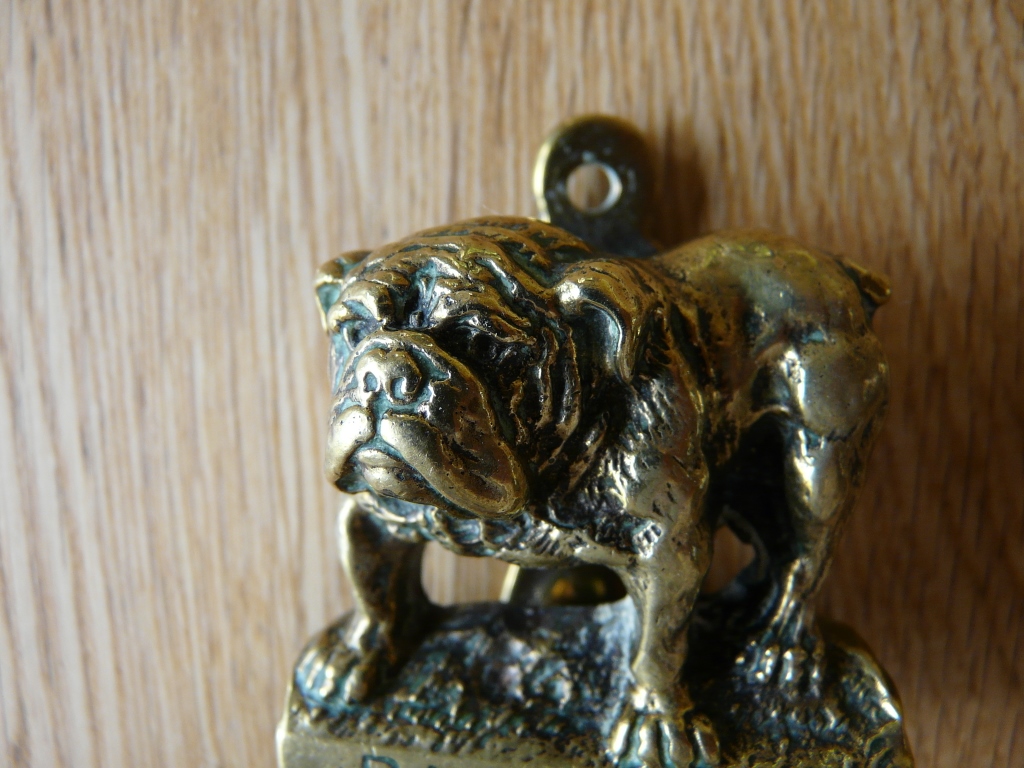 D3090715 Brass Bull Dog Door Knocker Antique Door knockers